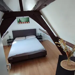 The 16th Century Duplex In The City Center Appartement Antwerpen